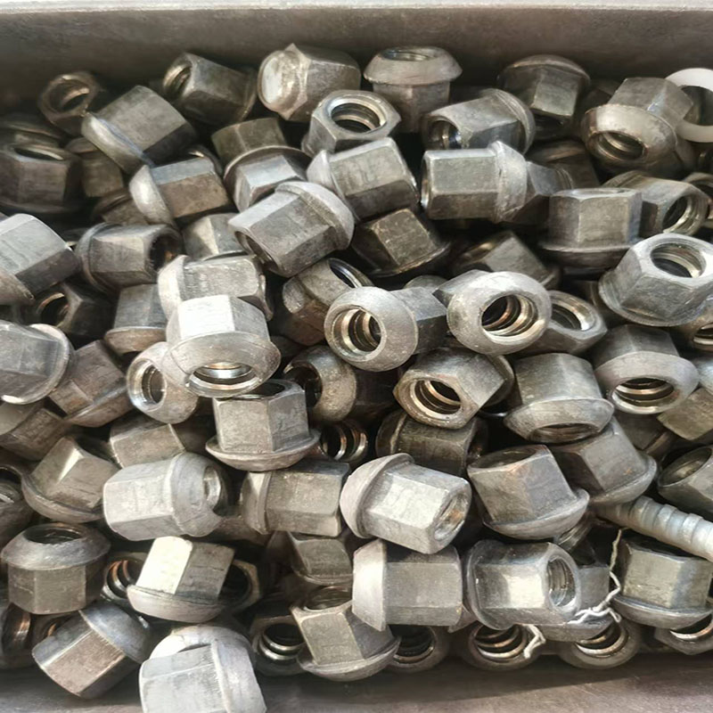 Hex Screw Nut